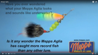 Mepps Aglia Plain Treble Spinner Video