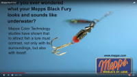 Mepps Black Fury Dressed Treble Spinner Video