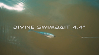 6th Sense Divine Swimbait Video