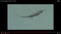 Lethal Precision 110 Shad Swimbait