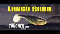 Storm Largo Shad Video