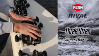 Rival Level Wind Conventional Reel