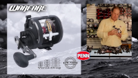 PENN Warfare Level Wind Conventional Fishing Reel (All Models