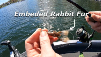 Rabid Baits Rabid Craw Video