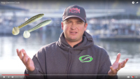 Strike King Rage Tail Swimmer Swimbait Video