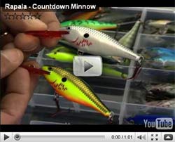 CountDown Minnow