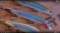 Rapala RipStop Video