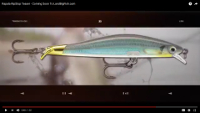 Rapala RipStop Video