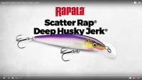 Scatter Rap Deep Husky Jerk