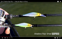 Rapala Shadow Rap Shad Deep Video