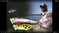 Rapala Skitter Pop Video