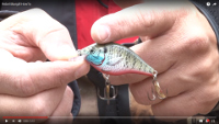 Rebel Bluegill Crankbait Video