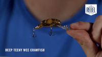 Rebel Deep Teeny Wee-Crawfish Video