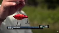 SPRO Shin Fukae Signature Series Wameku Shad 70 Video