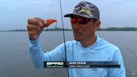 SPRO Shin Fukae Signature Series Wameku Shad 70 Video