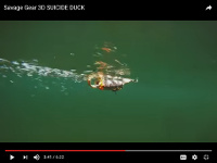 Savage Gear 3D Suicide Duck Video