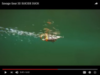 3D Suicide Duck