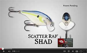Rapala Scatter Rap Shad Video