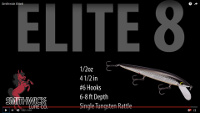 Elite 8 Rogue