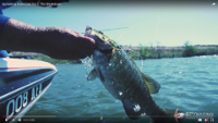 DUO Realis Spinbait 80 G-Fix Video