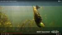 Storm 360GT Searchbait Video