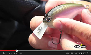 Arashi Silent Square Bill Crankbaits