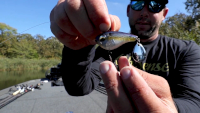 6th Sense Gyro Tail Spinner Video