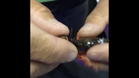 Tackle HD Hi-Def Craw Video