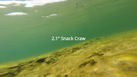 Great Lakes Finesse Snack Craw Video