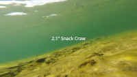 Snack Craw