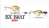 Rapala BX Brat Video