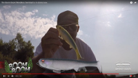 Optimum Boom Boom Weedless Swimbait Video