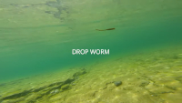 Great Lakes Finesse Drop Worm Video