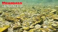 Megabass Knuckle LD Crankbaits Video