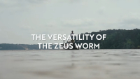 Strike King KVD Perfect Plastics Zeus Worm Video