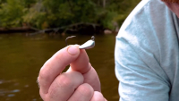 Great Lakes Finesse Mini Pro Tube Jighead Video