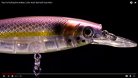 Cutter 110+ Jerkbait