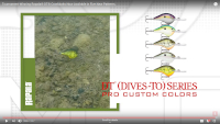 Rapala DT (Dives-To) Series Video