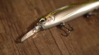 13 Fishing Whipper Snapper Video