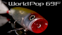World Pop Flash Boost