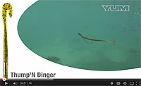 YUM Thump'N Dinger Video