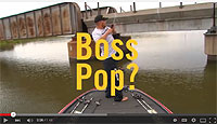 Boss Pop