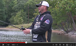 Elite Series Flipping Casting Rods