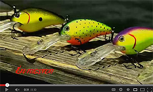 Dive Master Jr. Saltwater Crankbait