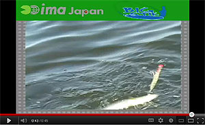 IMA Japan Big Stik Video