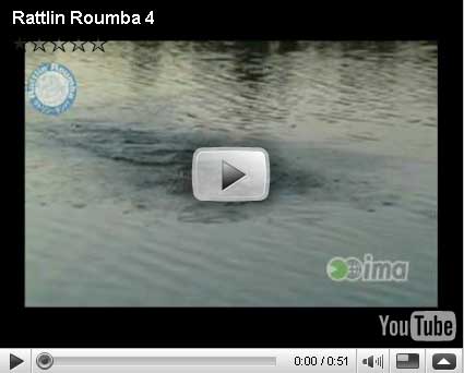 IMA Japan Rattlin Roumba Video