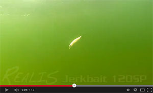 Realis Jerkbait 120SP