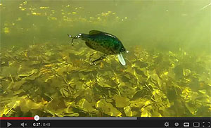 Crappie Crankbaits