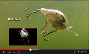 Threadfin Shad BaitBall Crankbait