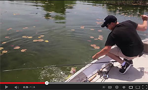 Lunkerhunt Lunker Frog Video